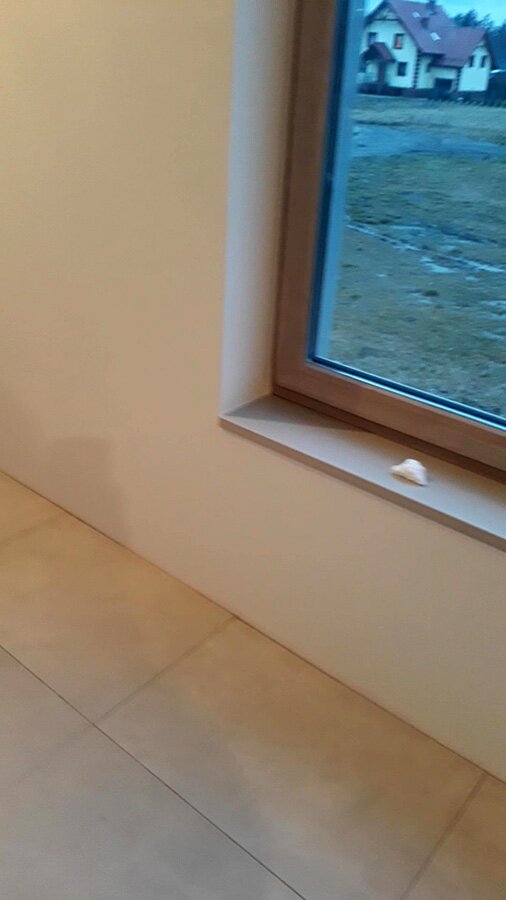 Malowanie pomieszczeń wraz z wykończeniem w Przegędzy - zdjęcie 17